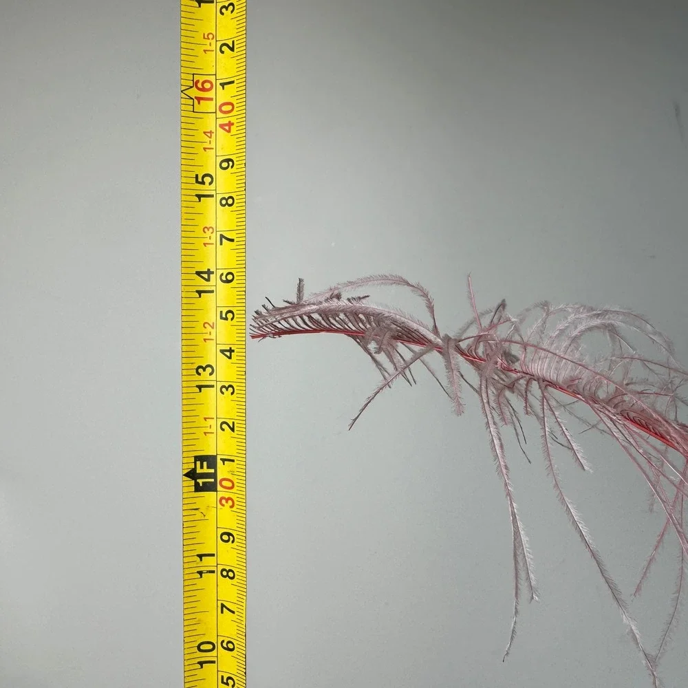 Pink Feather Ball Point Pen with Ornate Base Desk Accessory Writing‎ Tool Event